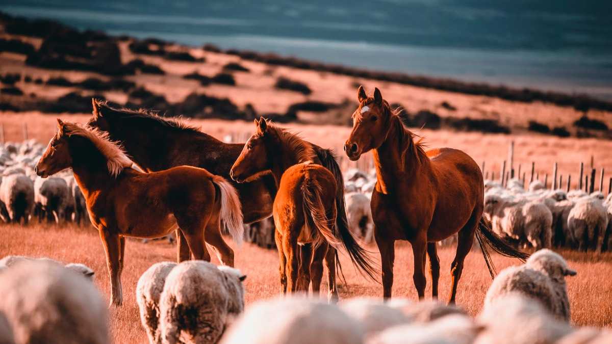 archivo infogate web-5-2-22