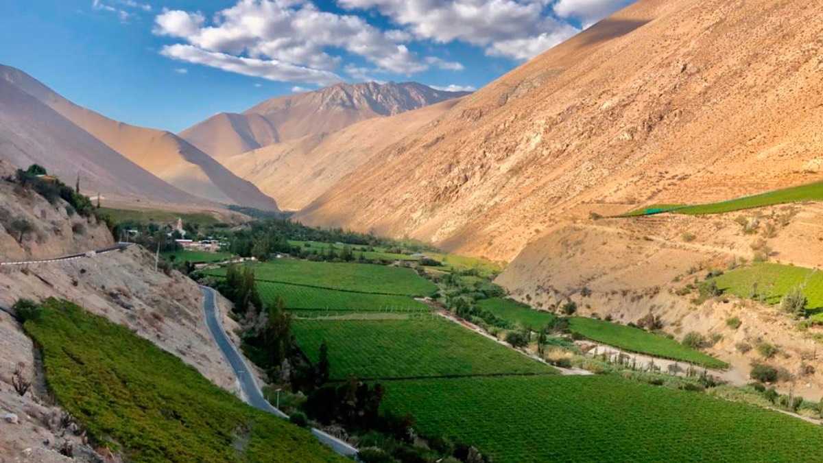 archivo infogate web-5-2-23