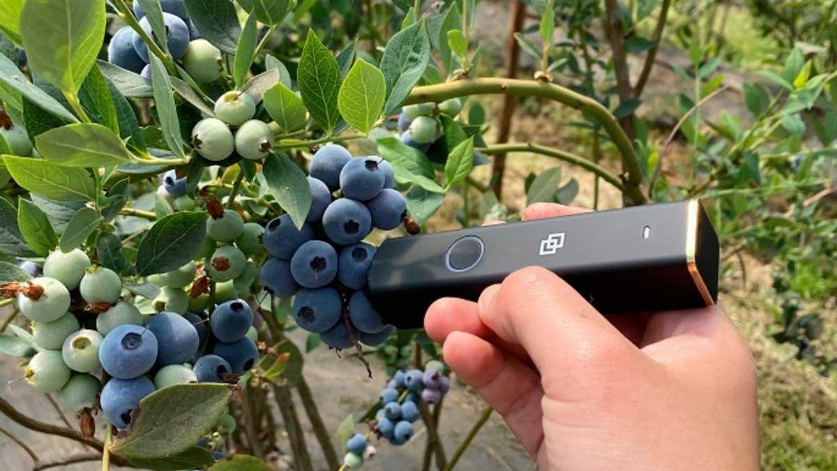 archivo infogate web-5-2-3