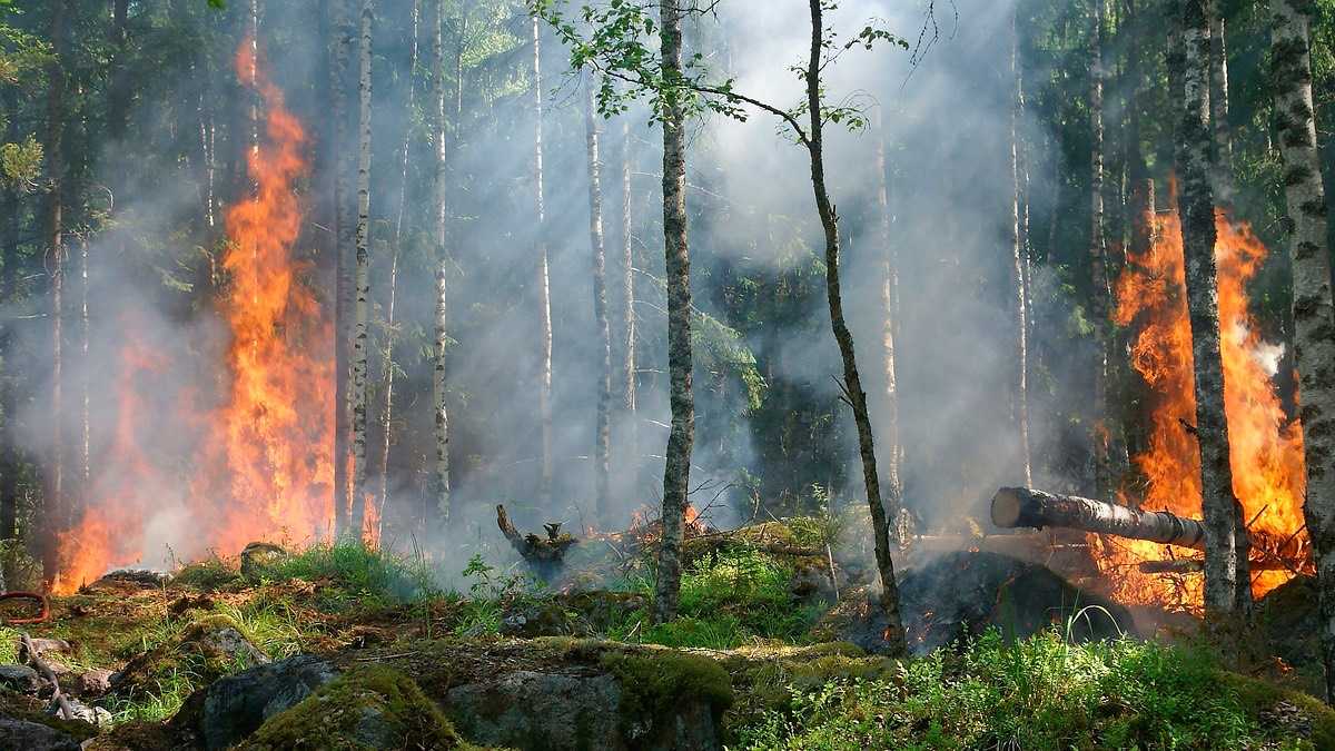 archivo infogate web-5-2-66