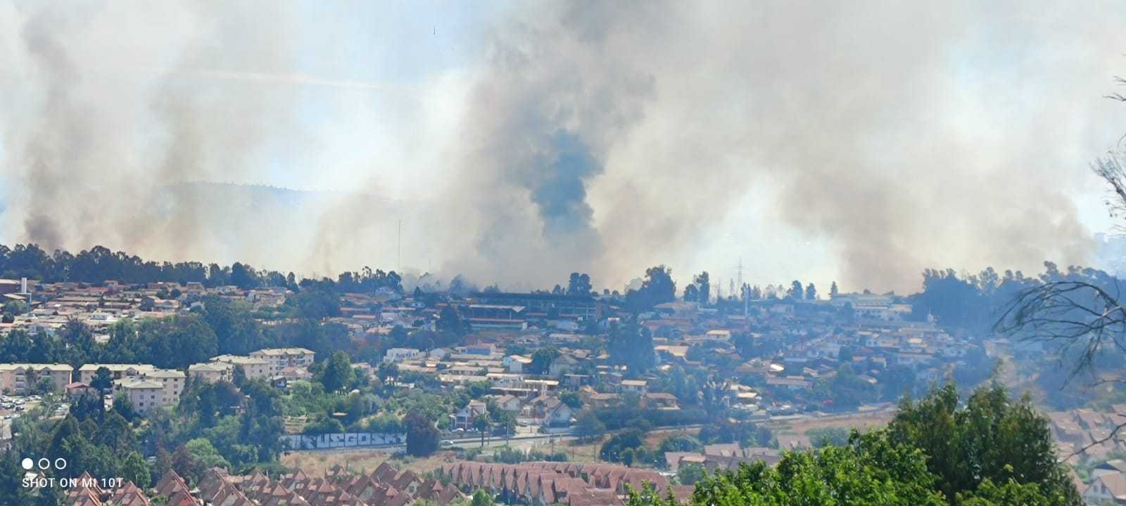 incendioforestal11diciembre jardinbotanico