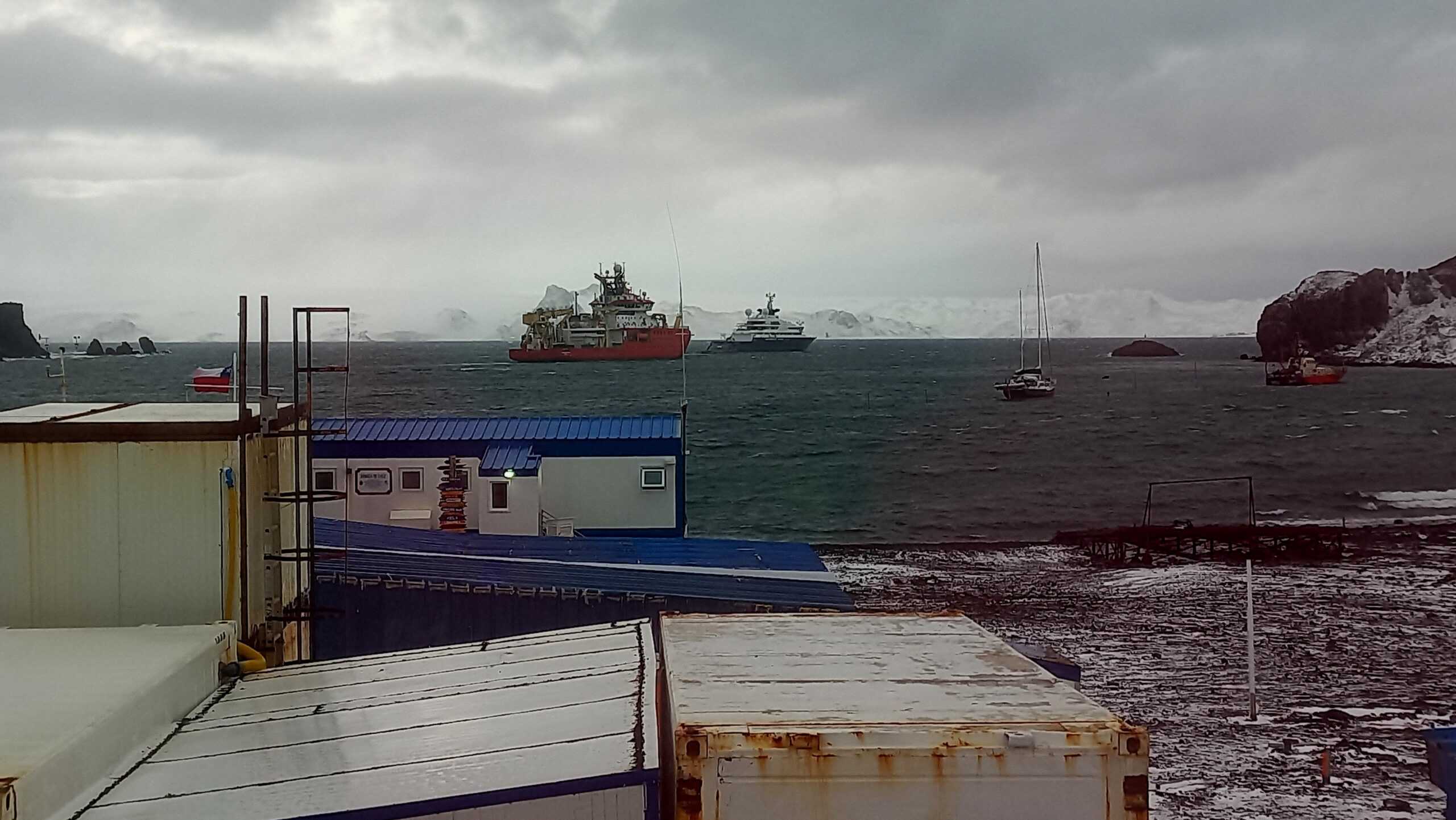 buquesantarticavarios