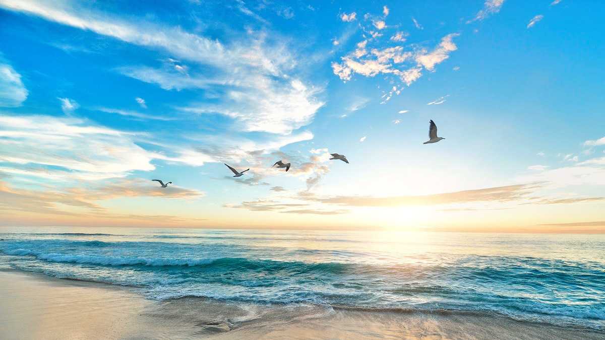 archivo infogate web-5-2-102