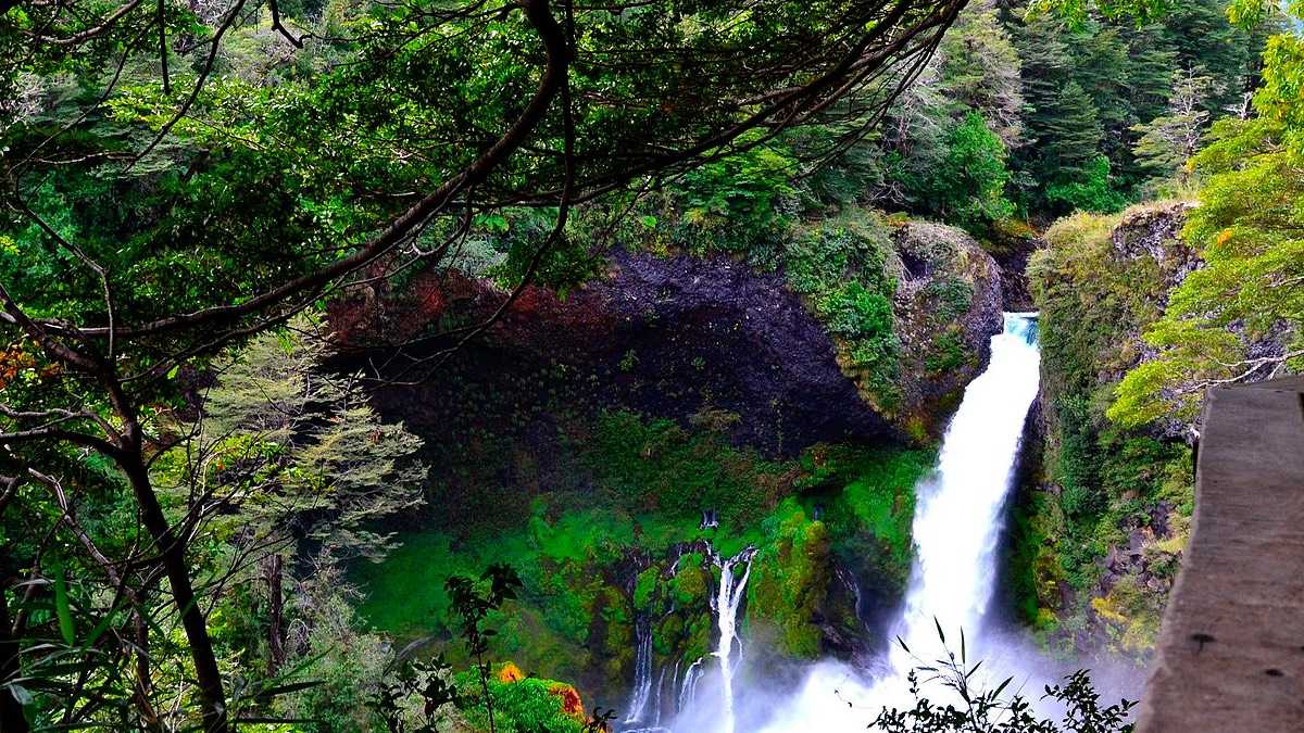 archivo infogate web-5-2-11