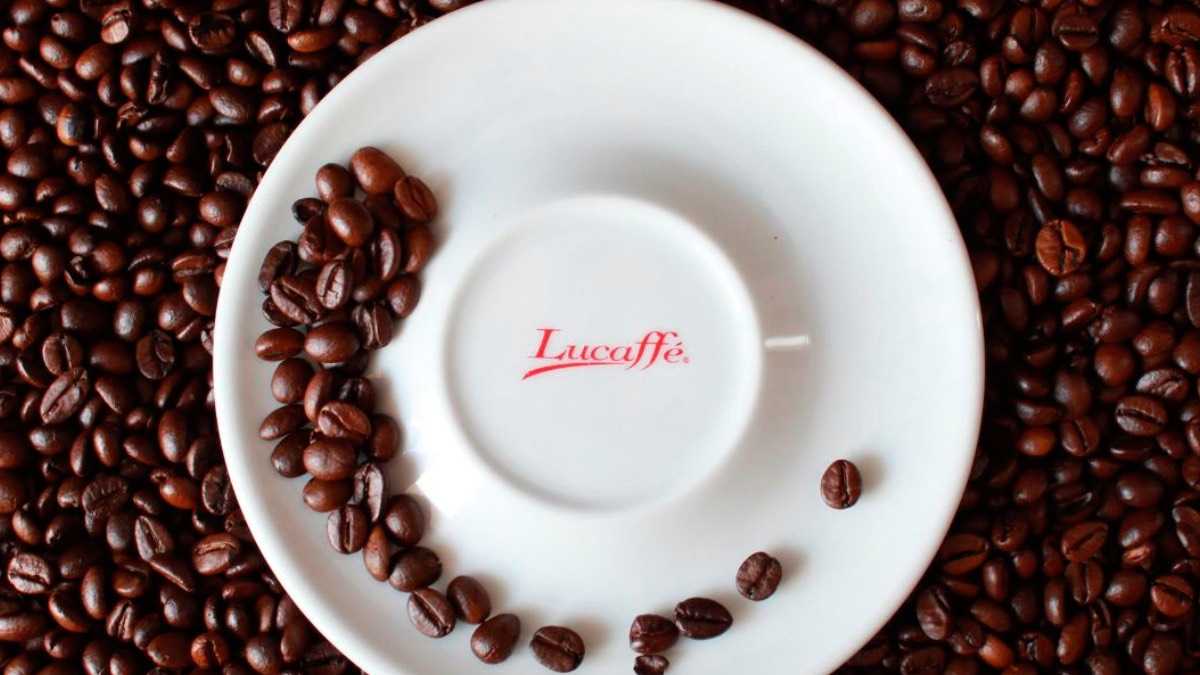 archivo infogate web-5-2-156