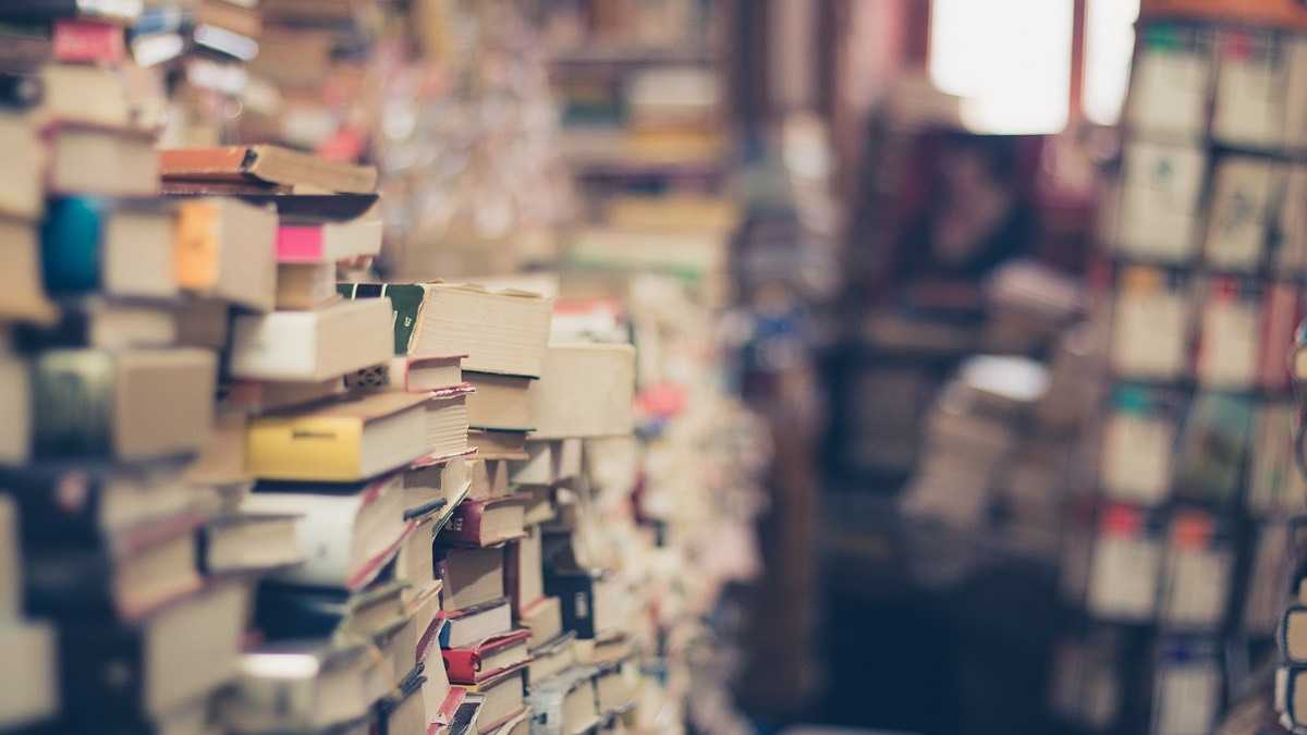 archivo infogate web-5-2-23-41