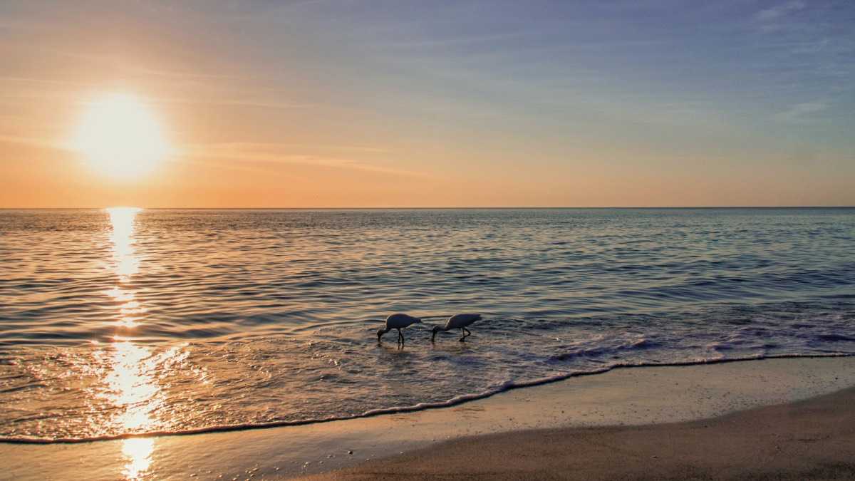 archivo infogate web-5-2-23-51