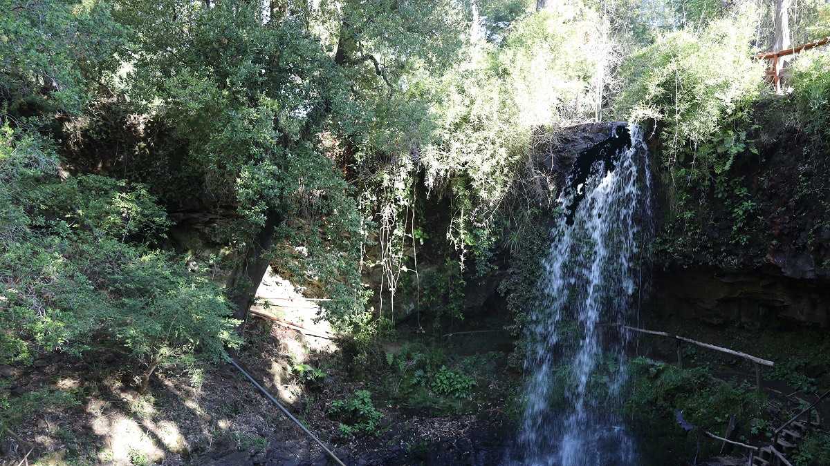 archivo infogate web-5-2-23-66