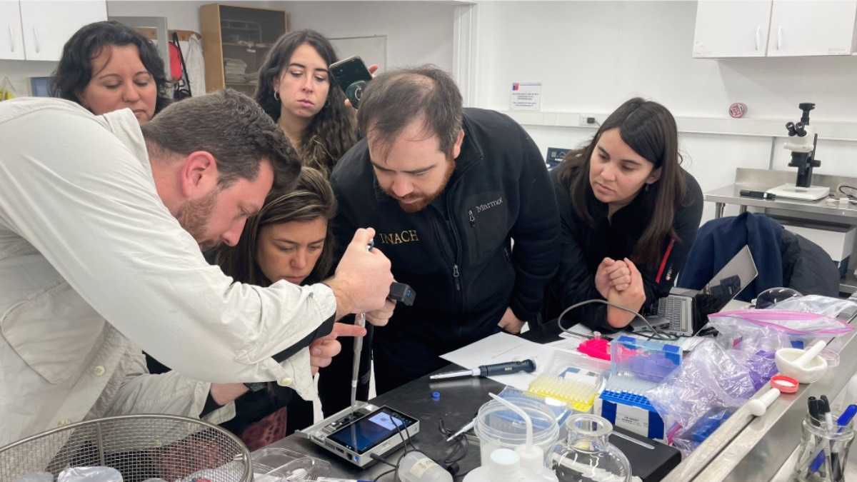 archivo infogate web-5-2-66