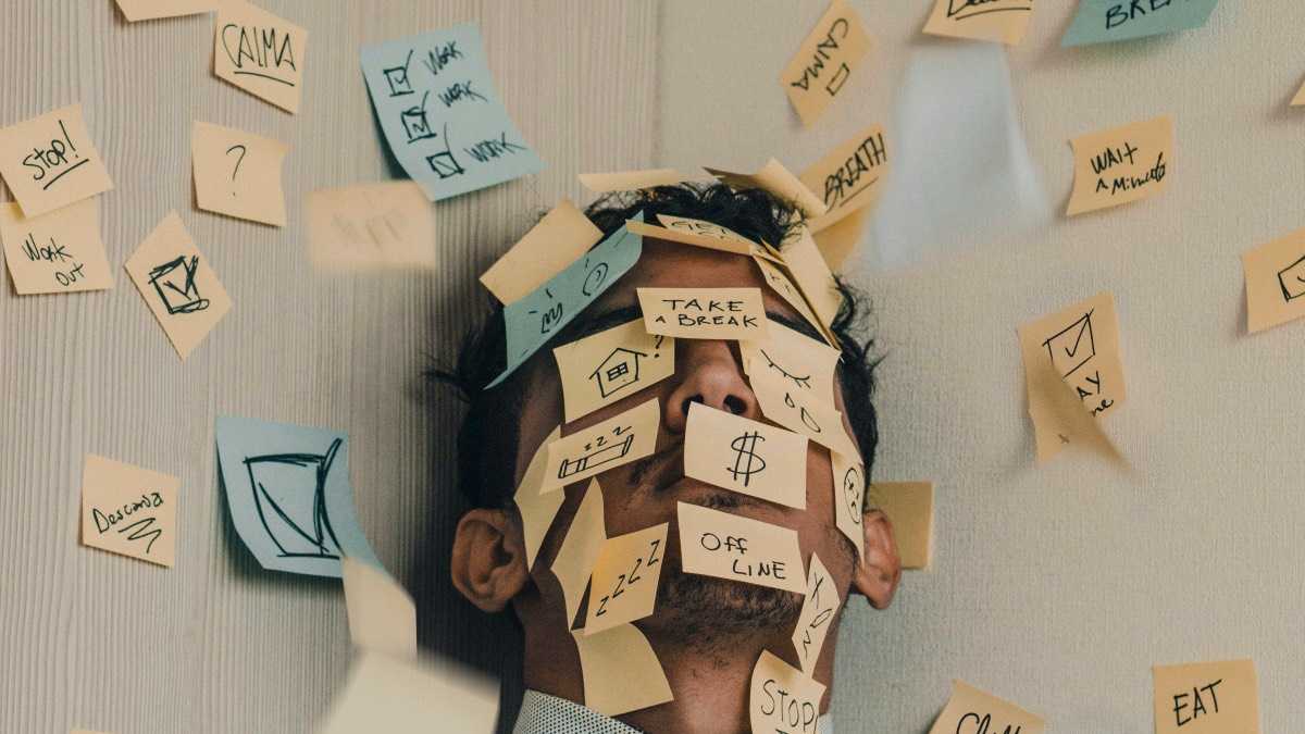 archivo infogate web-5-2-10