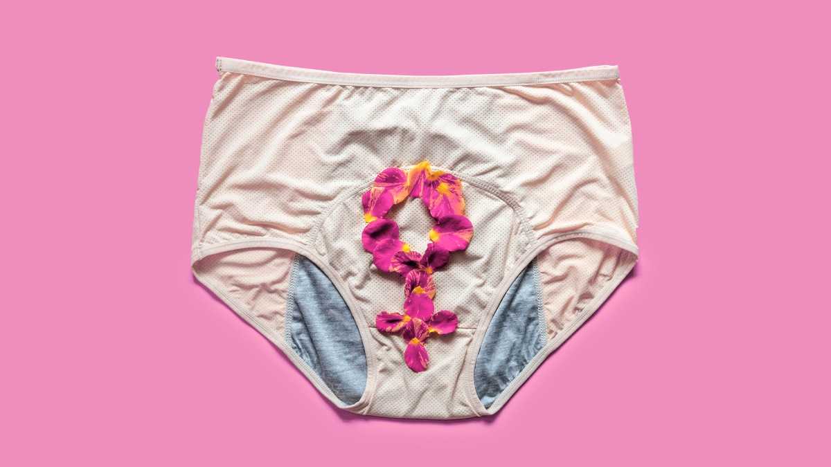 archivo infogate web-5-2-23-12