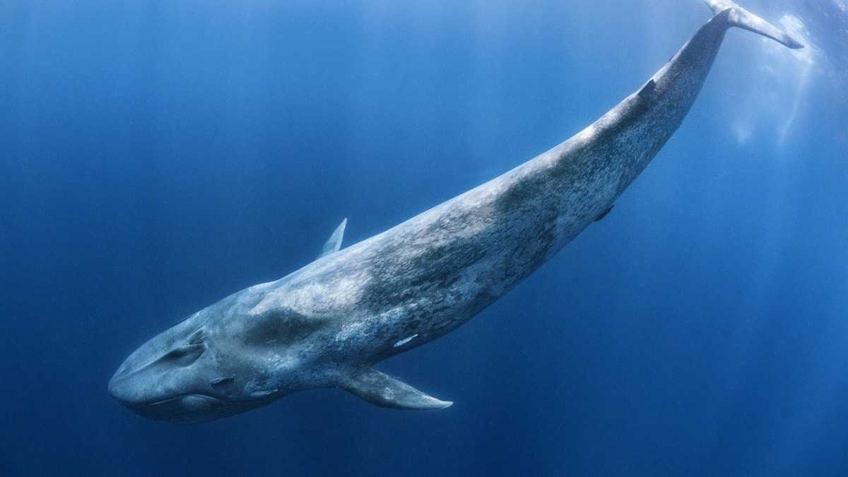 archivo infogate web-5-2-23-9