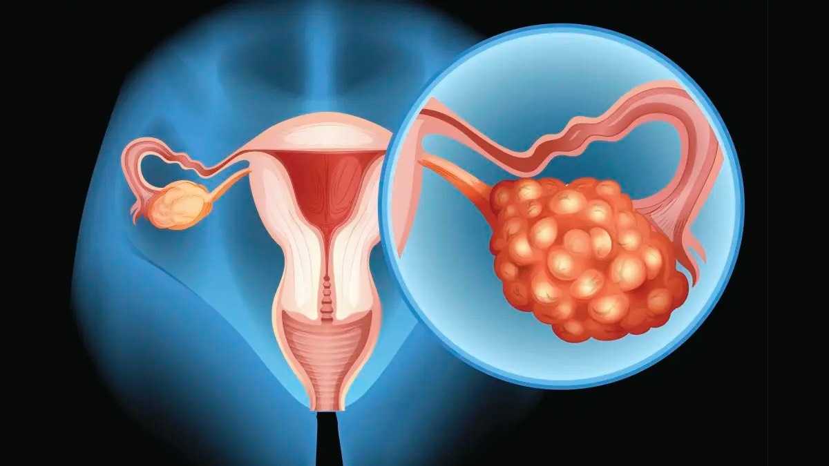 archivo infogate web-5-2-24