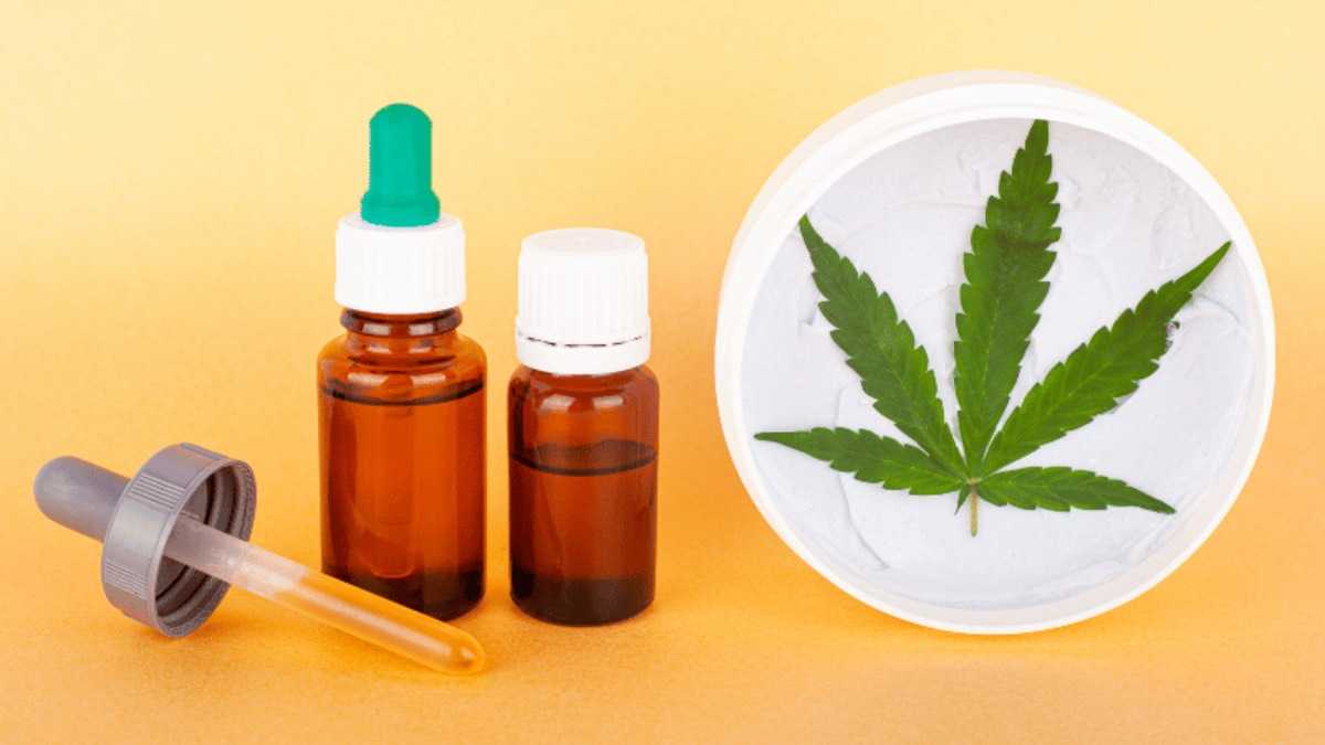 archivo infogate web-5-2-25