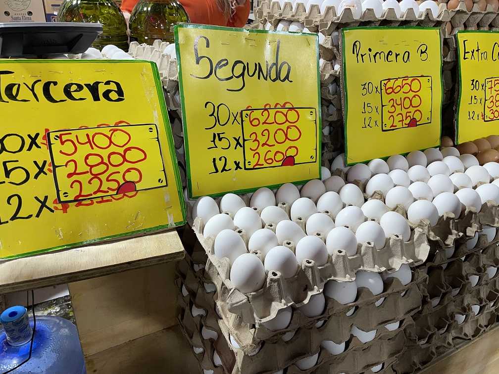 huevos 29abril2023portada30