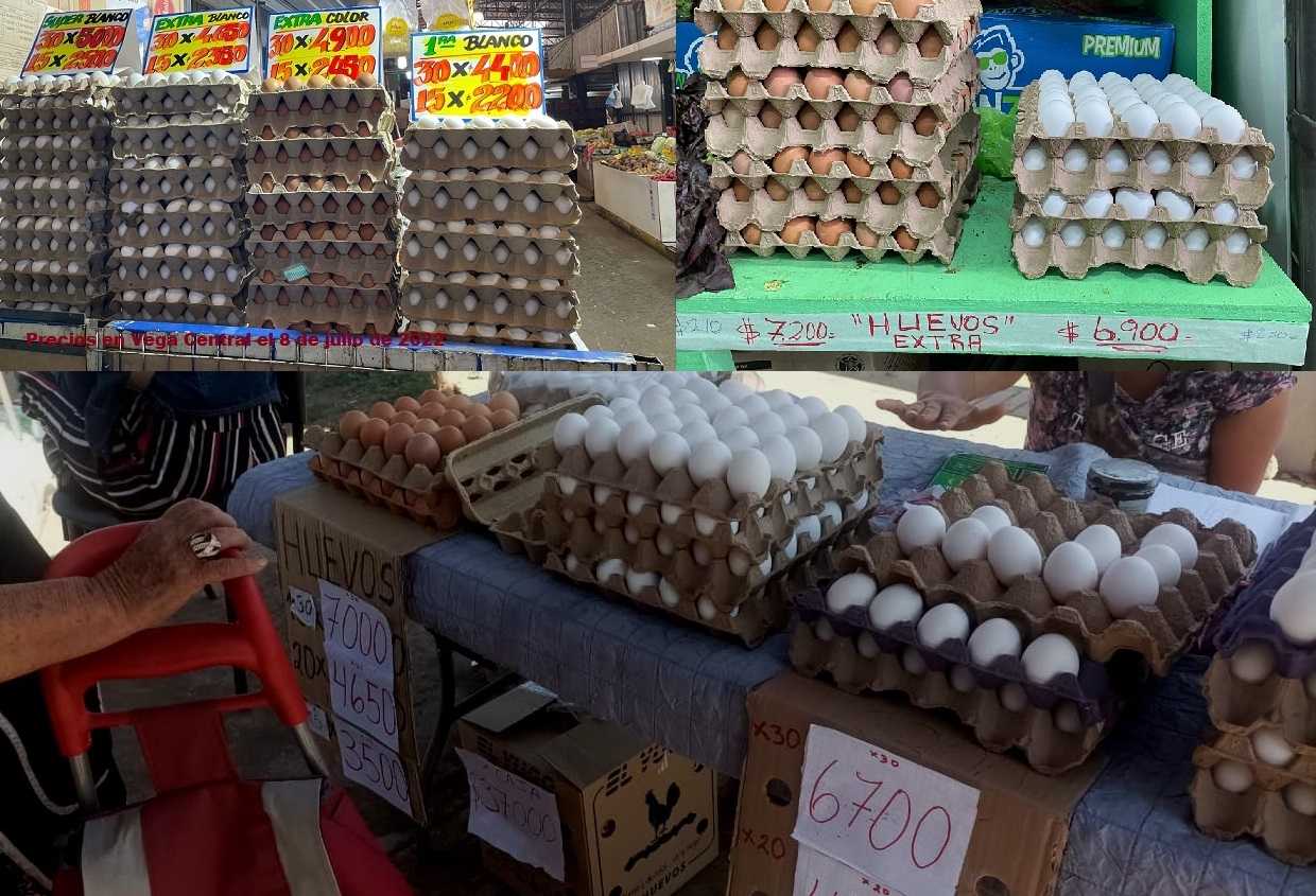 huevos varios portada 2abril2023