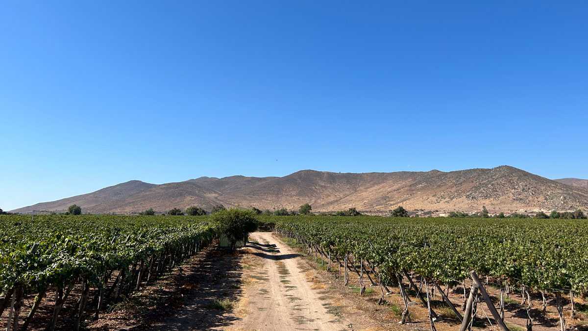 emprendimiento230501