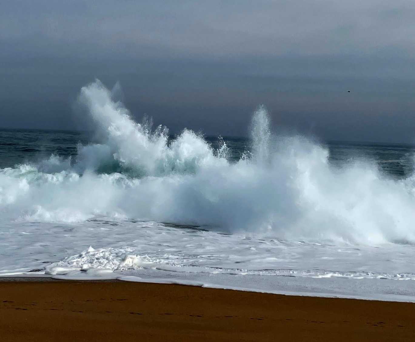 algarrobo30julio2023ok