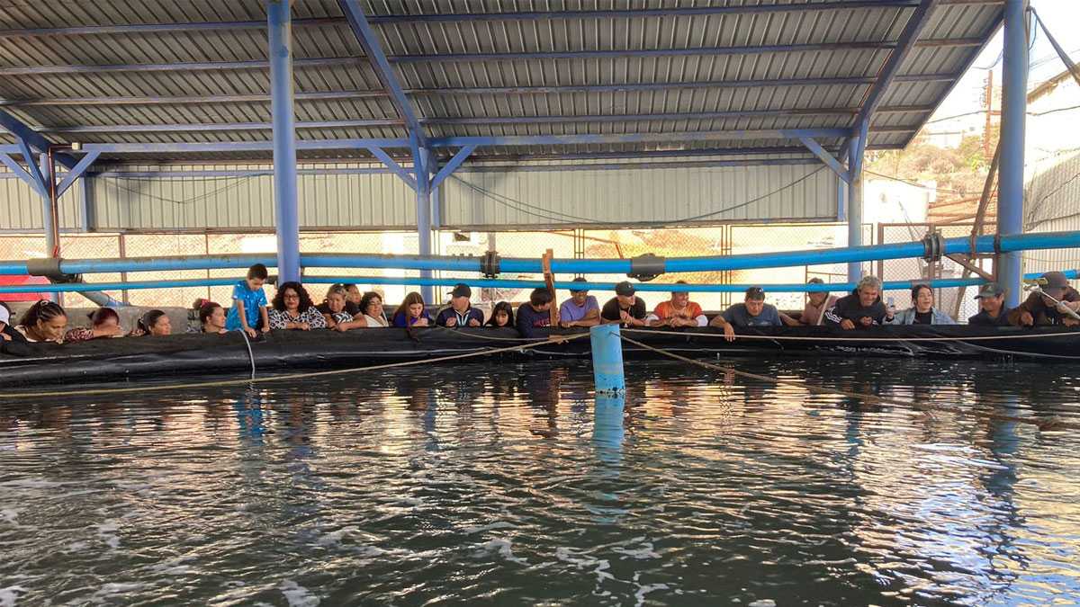 emprendimiento140701