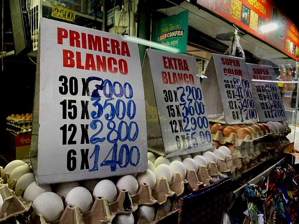 huevos 7 junio2023portada