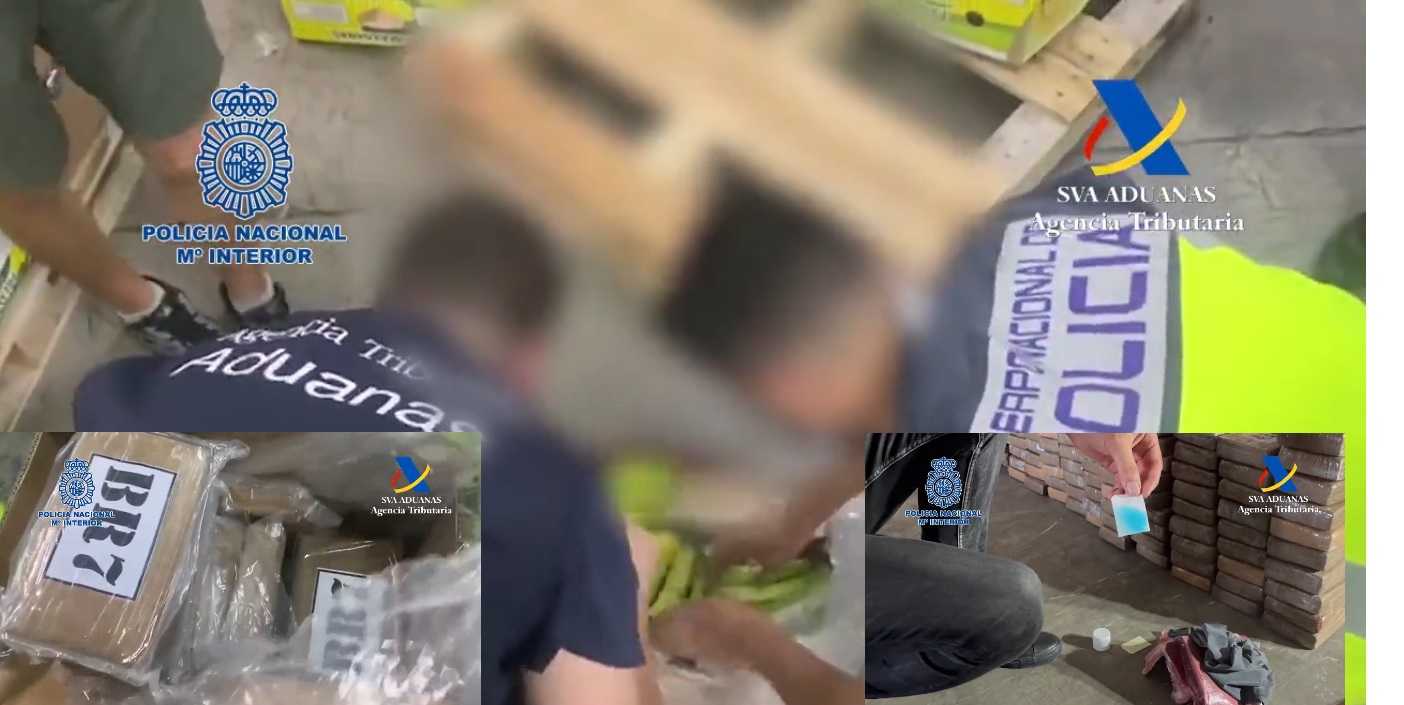 PLATANOSDROGAESPAÑA25AGOSTO2023