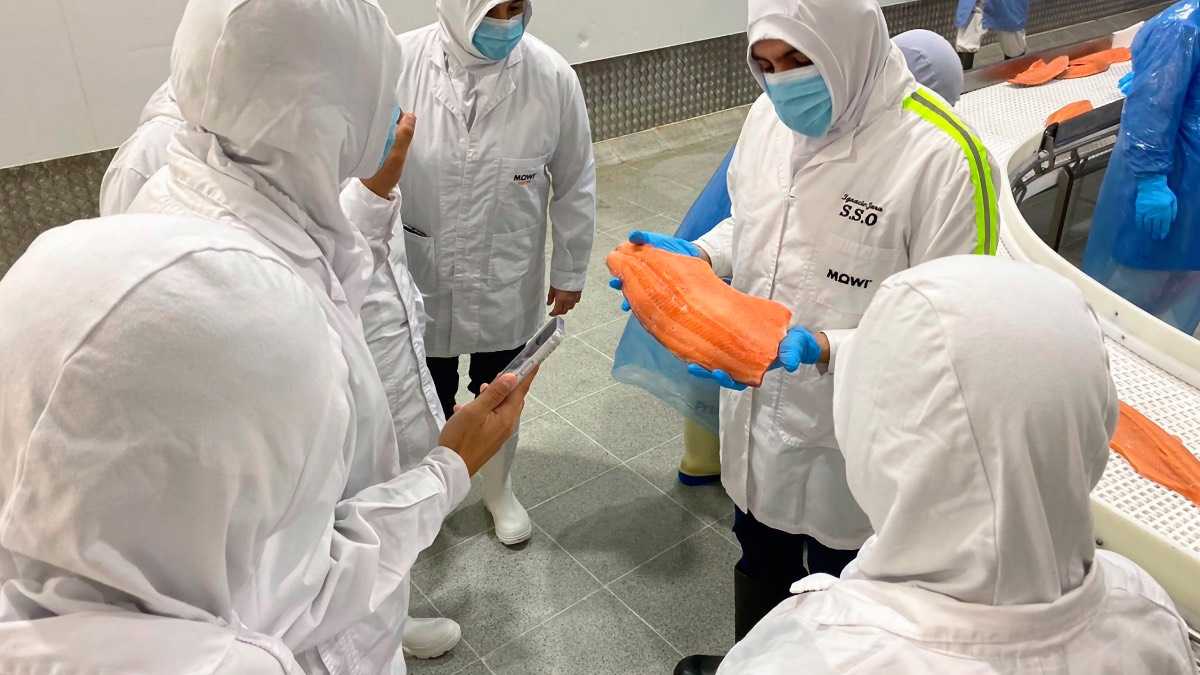 archivo infogate web-5-2-13