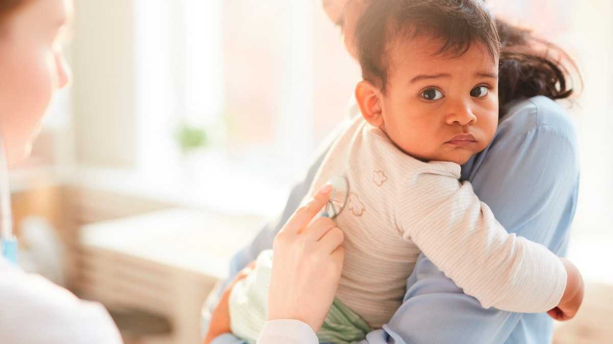 archivo infogate web-5-2-16