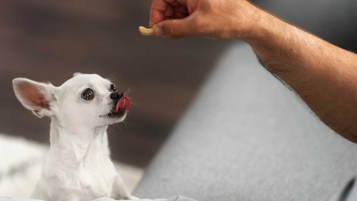 archivo infogate web-5-2-17