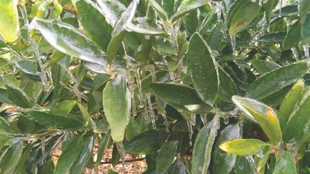 archivo infogate web-5-2-22