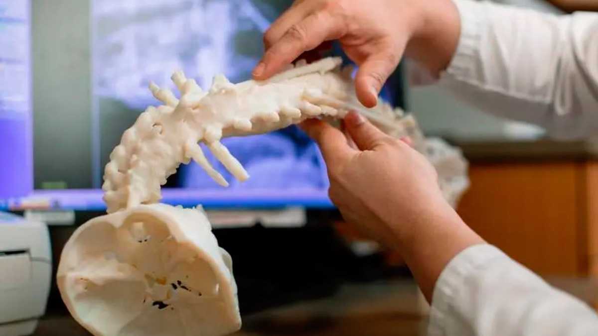 archivo infogate web-5-2-31