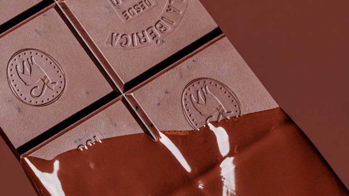 archivo infogate web-5-2-34-17