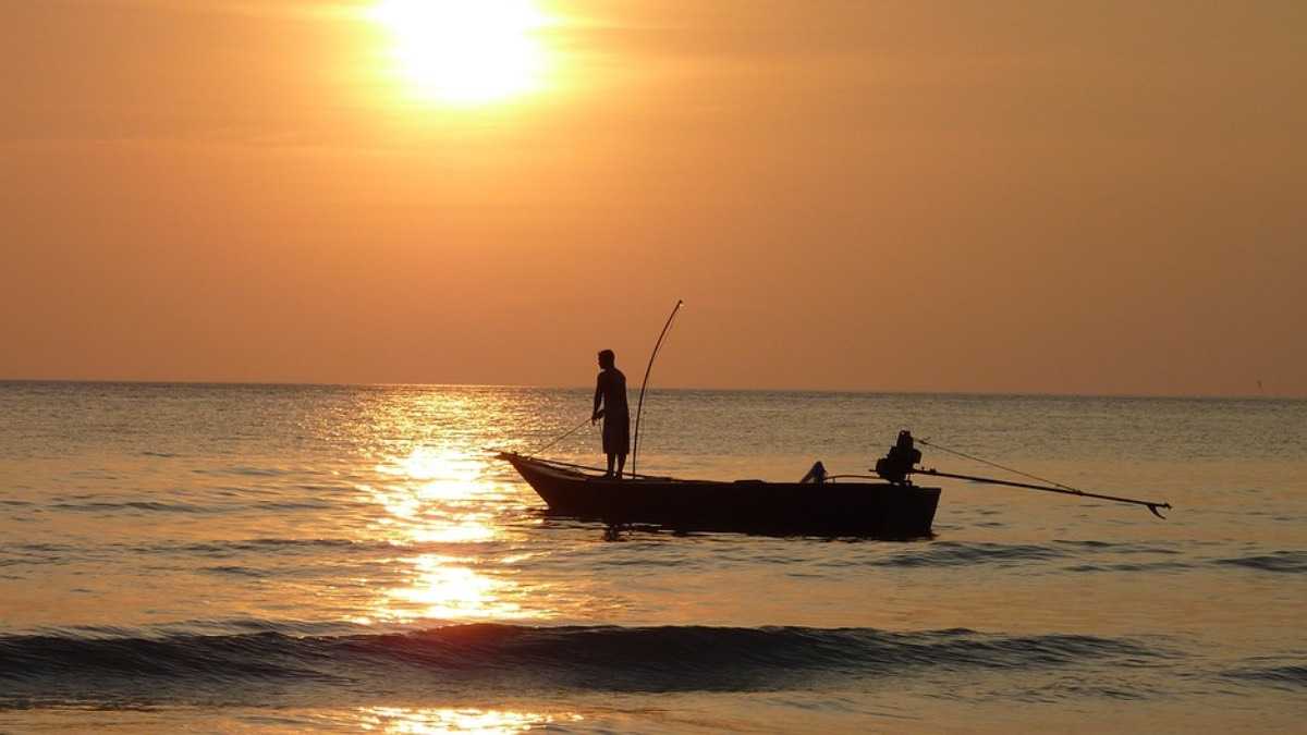 archivo infogate web-5-2-34-8