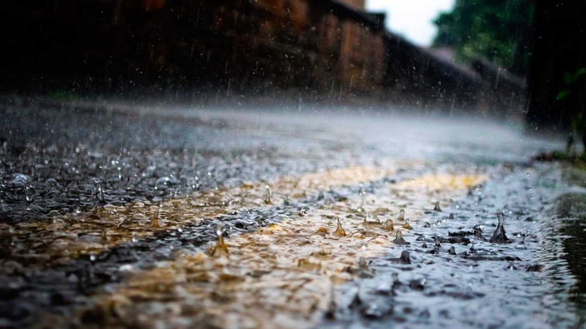 archivo infogate web-5-2-37