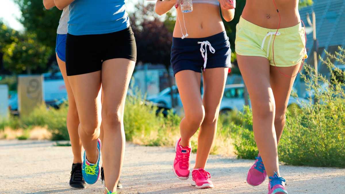 archivo infogate web-5-2-4