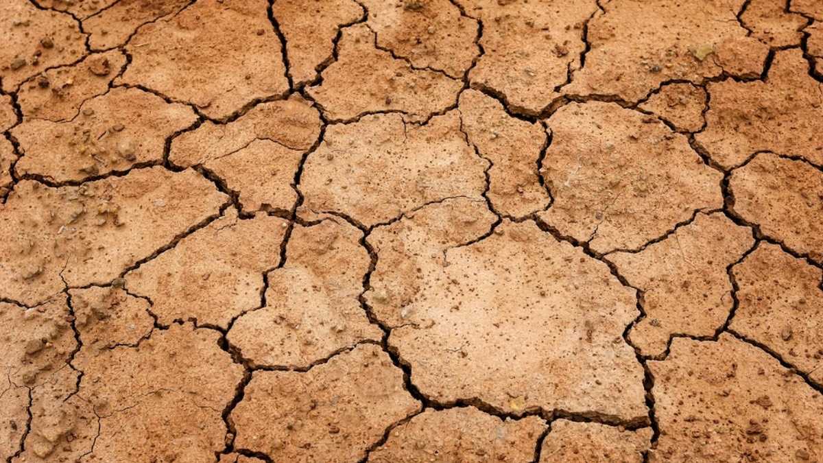 archivo infogate web-5-2-34-12