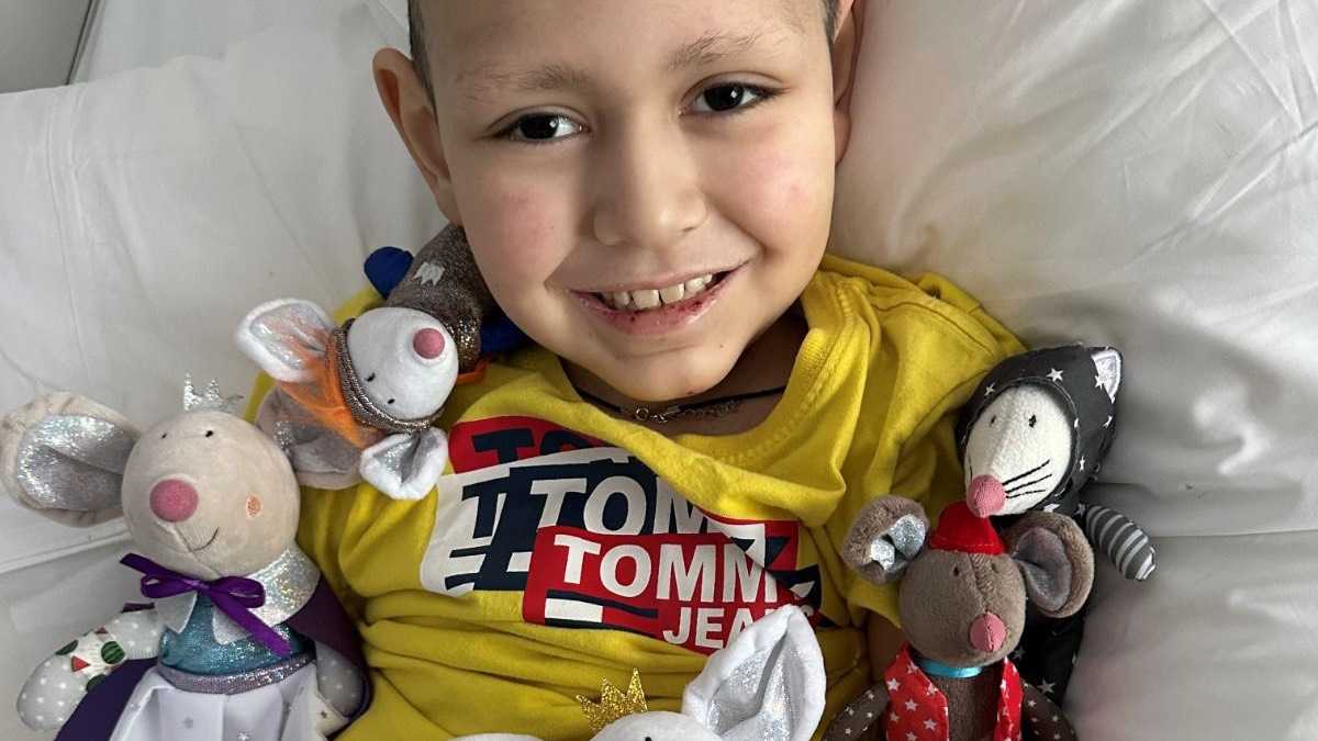 archivo infogate web-5-2-34-13