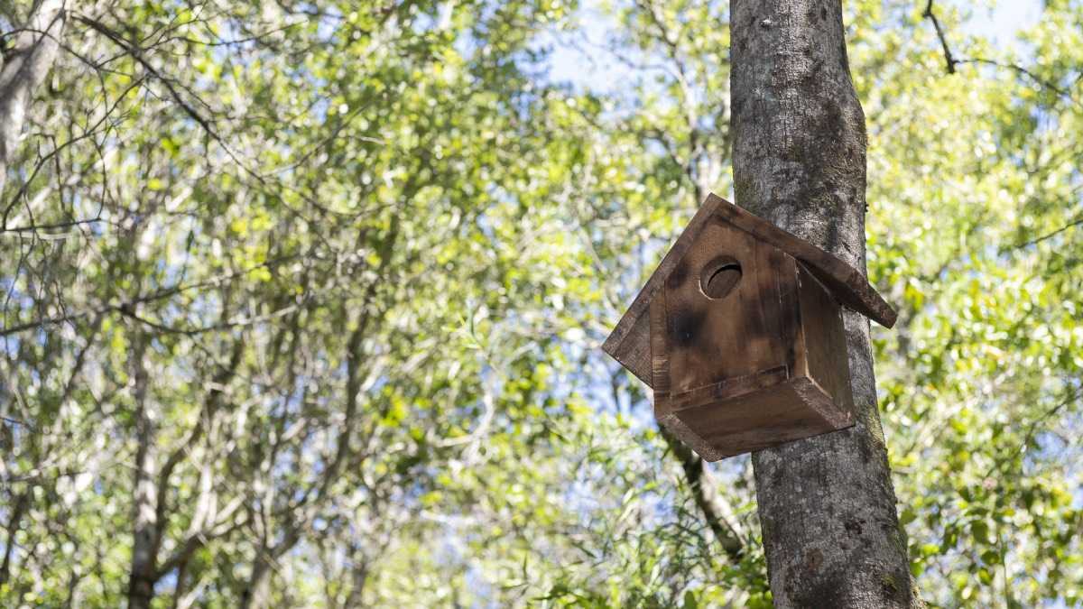 archivo infogate web-5-2-34-18