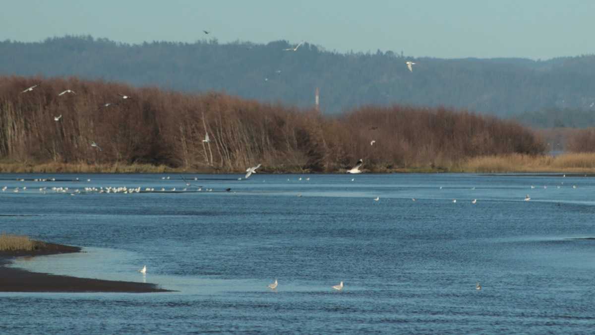 archivo infogate web-5-2-34-19