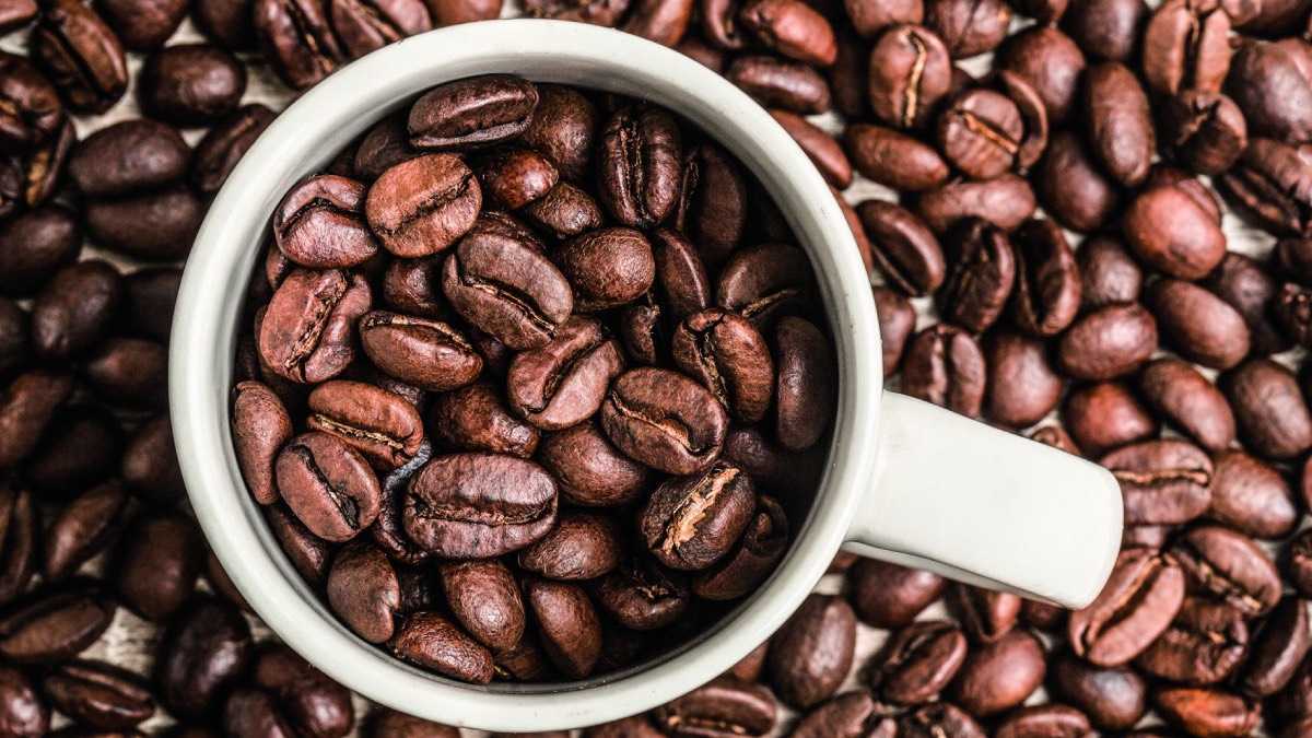 archivo infogate web-5-2-34-20