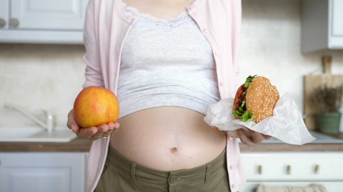 archivo infogate web-5-2-34-24