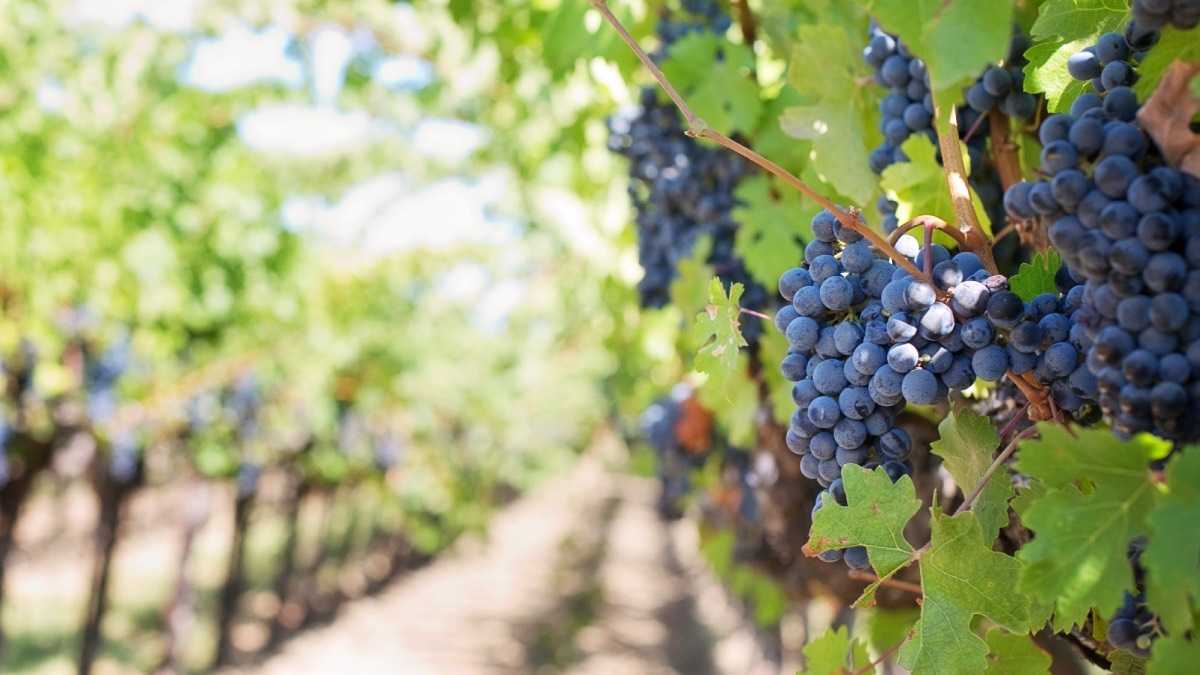 archivo infogate web-5-2-34-28