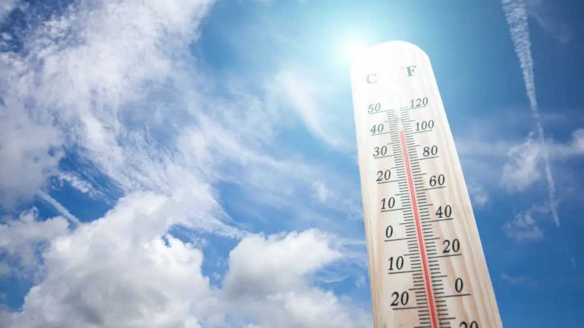 archivo infogate web-5-2-34-6