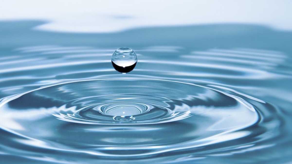 archivo infogate web-5-2-34-6