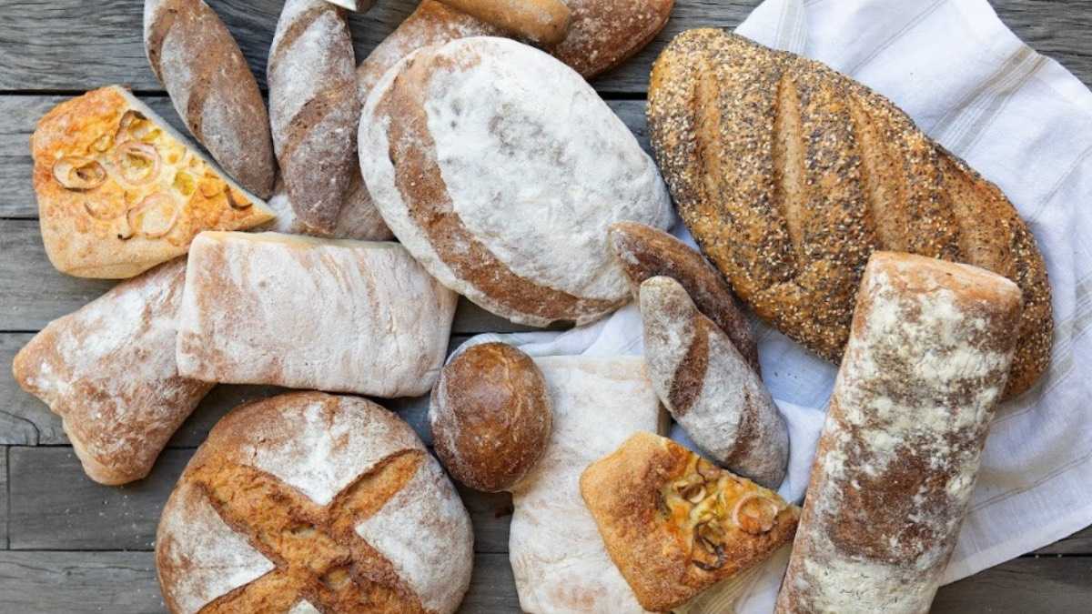 archivo infogate web-5-2-34-8