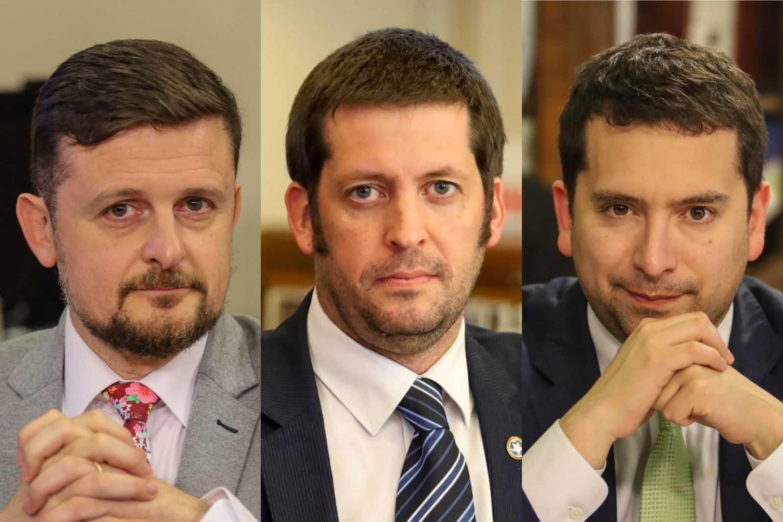 Schubert Irarrázaval y Araya