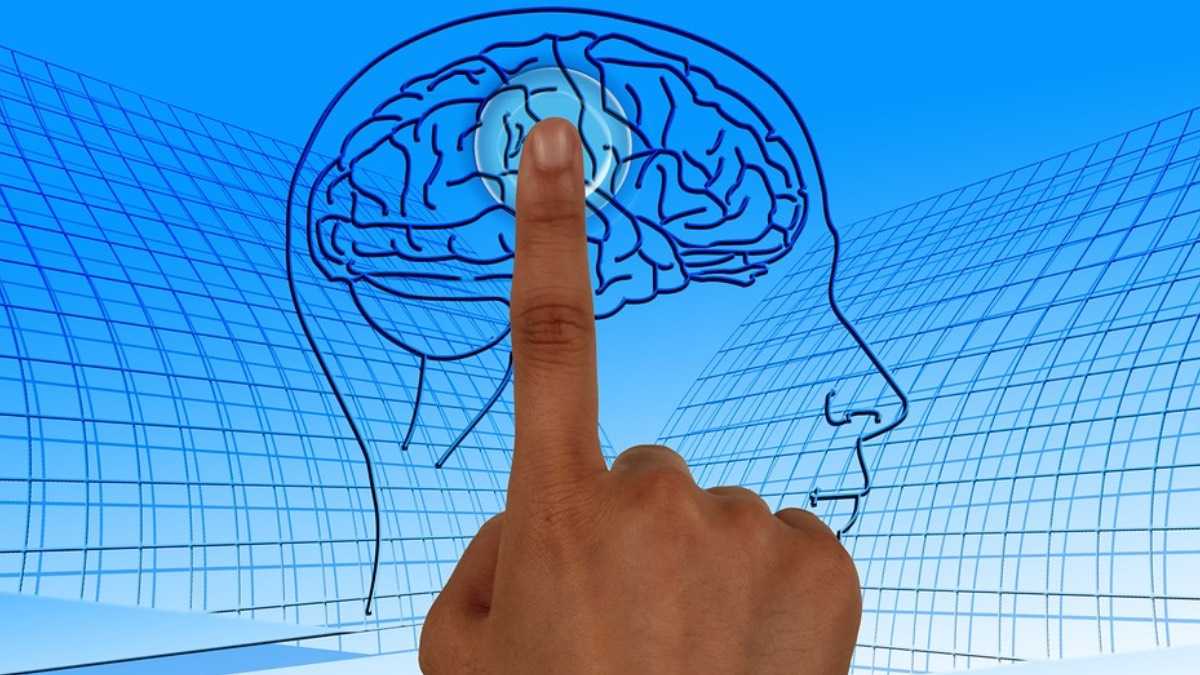 archivo infogate web-5-2-13-15