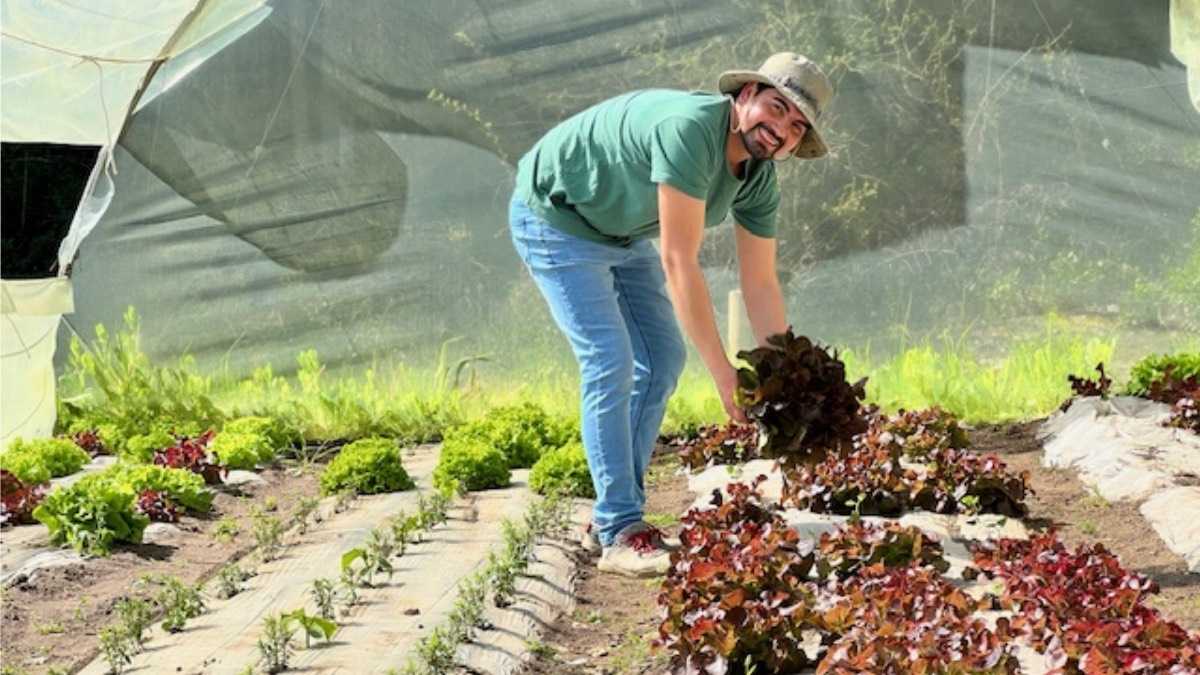 archivo infogate web-5-2-13-3