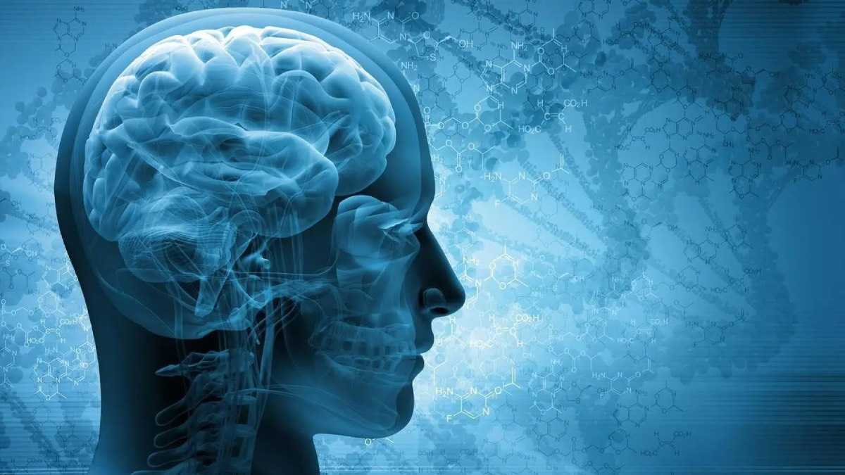 archivo infogate web-5-2-34-16