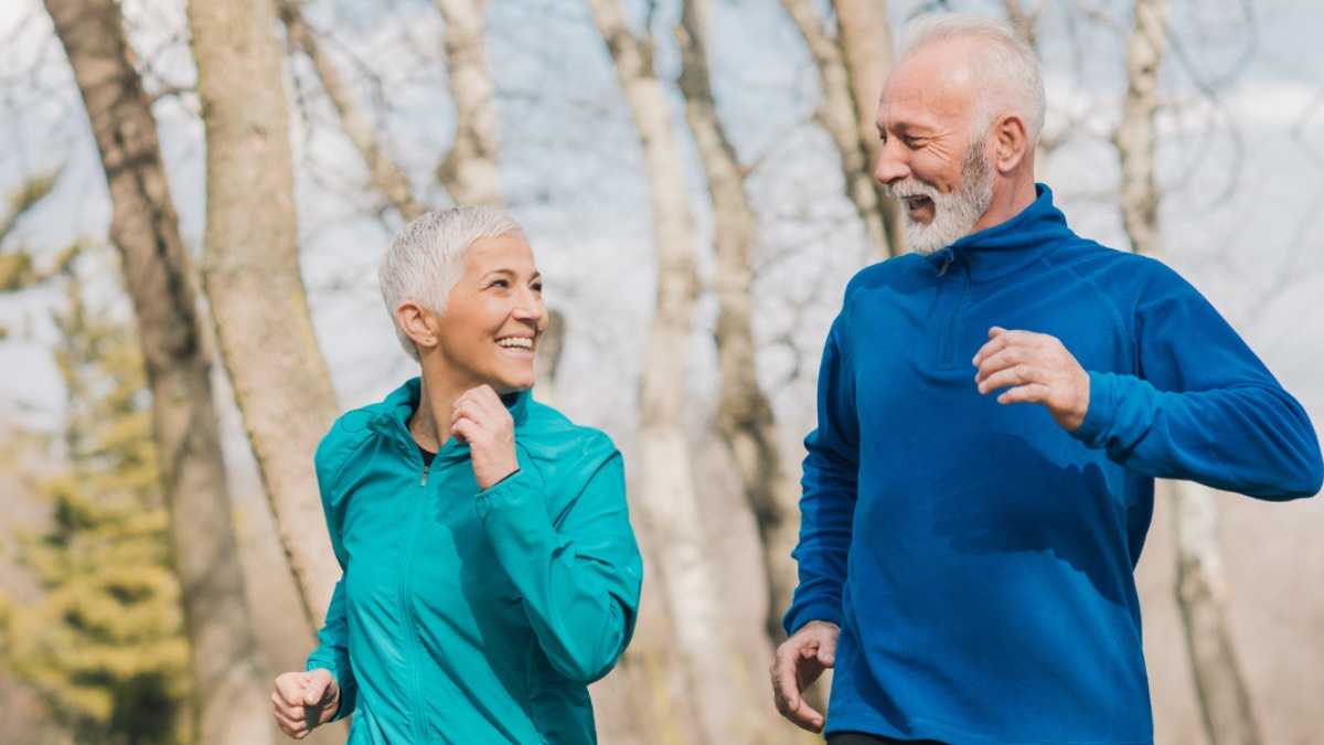 archivo infogate web-5-2-34-23