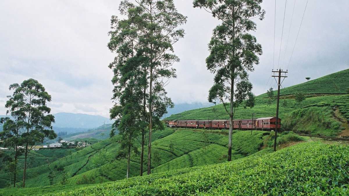 archivo infogate web-5-2-34-43